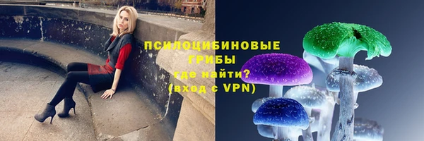 героин Кукмор