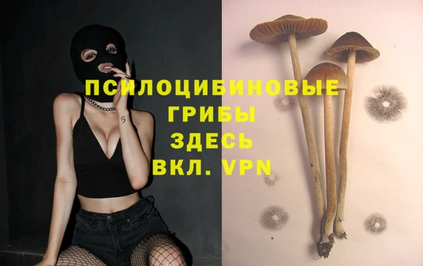 молекула духа Кулебаки