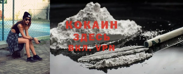 молекула духа Кулебаки