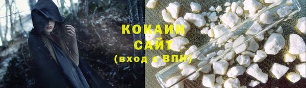 молекула духа Кулебаки