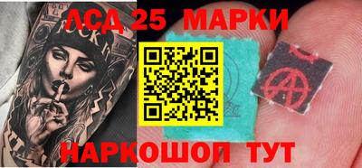 apvp Камышлов