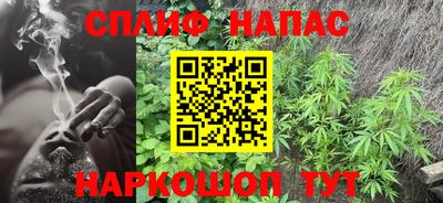 apvp Камышлов