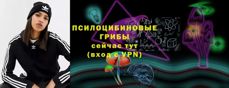 где можно купить   Ярцево  Псилоцибиновые грибы мицелий 