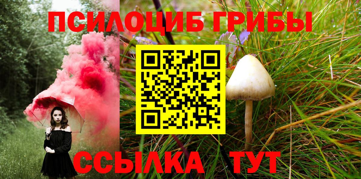 Галлюциногенные грибы прущие грибы  дарнет шоп  Ярцево 