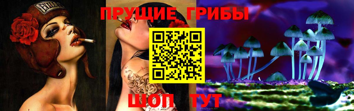 Ярцево  Псилоцибиновые грибы GOLDEN TEACHER  Вход с VPN 